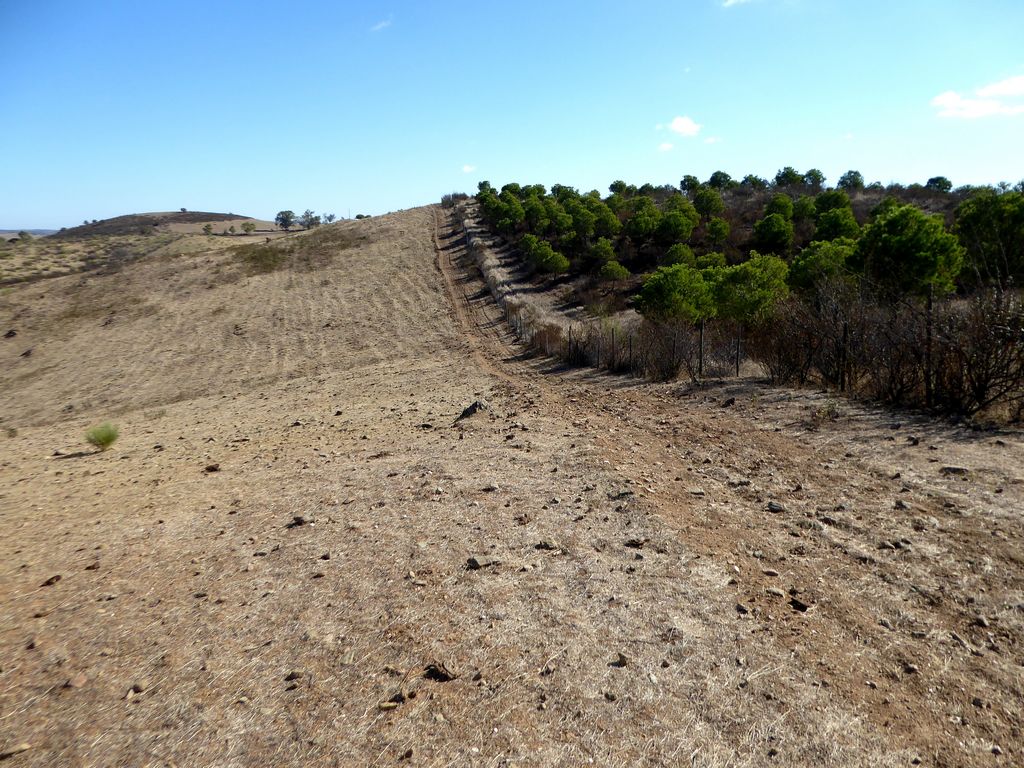 Herdade